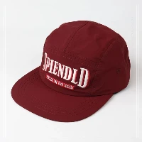20250211210823 20250211210823